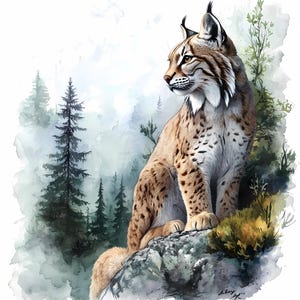 8 Lynx dans la forêt des cliparts, Sublimation de Lynx, Illustration de Lynx, clipart faune, clipart Animal animaux de la forêt Clipart pépinière, PNG de qualité