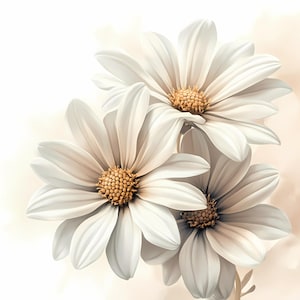 Bouquet de 8 marguerites Clipart, clipart Daisy, clipart aquarelle imprimable Daisy, PNG de haute qualité, téléchargement numérique, créations en papier, journaux indésirables