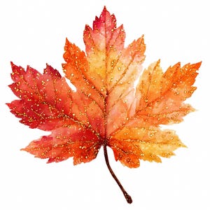 May include: A watercolour illustration of a maple leaf in red, orange, and yellow hues. The leaf has a glittery texture with gold detailing. This autumn-themed design is suitable for seasonal decorations or craft projects.