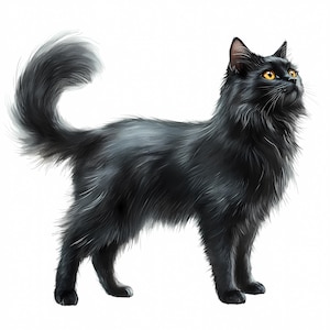 Lot de 8 cliparts chat noir, chat noir corps des cliparts, clipart aquarelle imprimable haute qualité PNG en téléchargement numérique Carnets de bricolage en papier