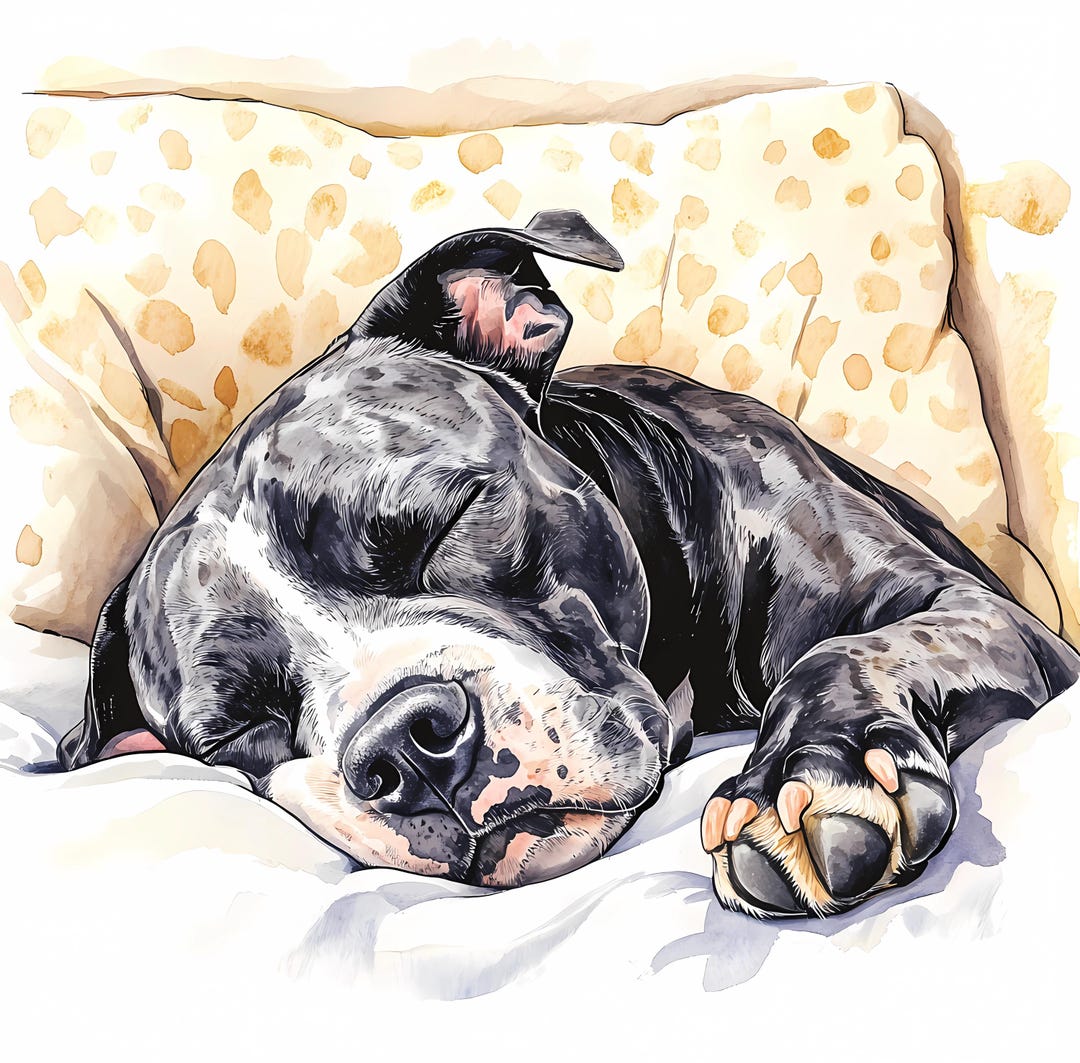 8 Sleeping Dog Clipart Set, Cute Dog Clipart Bundle, High Quality Pngs ...