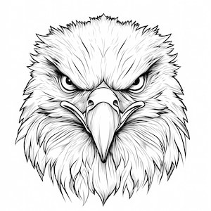 Majestueuze zeearendkopbundel in lijntekeningen in tattoo-stijl, inclusief 9 png-jpg-bestanden, perfect voor doe-het-zelf, afdrukken, tatoeages, decor en kleuren