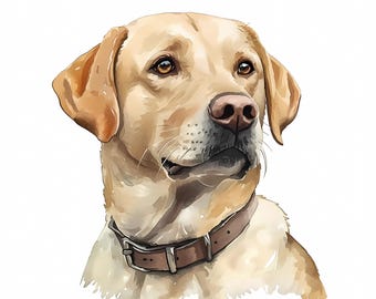 Aquarell-Clipart-Set mit weißen Labrador Retrievern: PNG-Hundeporträts, digitaler Download, kommerzielle Nutzung, 601