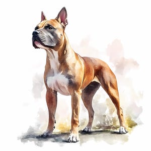 8 American Pitbull Terrier PNG Clipart Bundle, Watercolor American Pitbull Terrier Images, Commercial Use, Pitbull Printable Wall Art