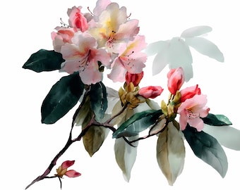 Watercolor Lily Clipart Set: Red and Yellow Floral PNG JPG (Commercial Use)