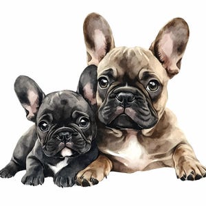 8 Französische Bulldogge Familie, Französische Bulldogge Mama und Welpe Clipart Bundle, Aquarell Bulldogge, Printable Digital, Papierhandwerk, Junk Journal