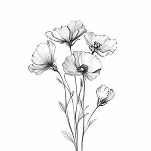 Paquete de 13 PNG de arte lineal de flores minimalistas: elegante boceto de una sola flor en blanco y negro para sublimación y manualidades.