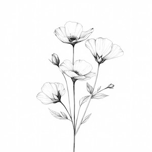 Minimalist Flower Line Art PNG Bundle: Elegant Floral Sketch Digital ...