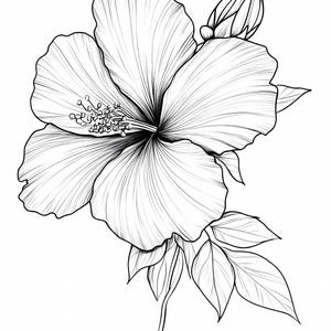 Pacote de 8 clipart floral aquarela abstrato, flores em preto e branco, PNGs de alta qualidade, clipart de arte de parede para impressão para artesanato