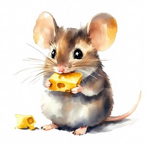 8 Ratones con queso, imágenes prediseñadas de ratón, animales de ratón en acuarela, creación de tarjetas, manualidades de papel de calidad, descarga digital, diario basura, regalo de tarjeta