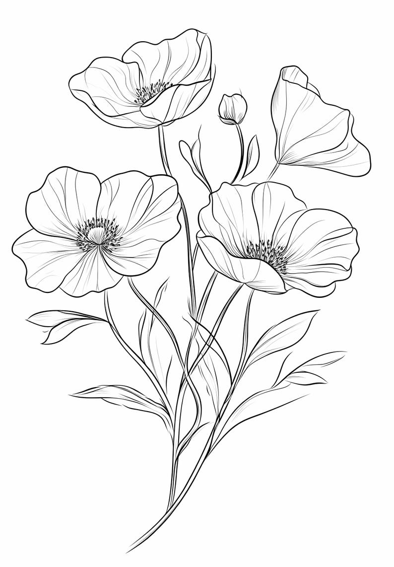 Wildflower Drawings Clipart: Black and White Floral PNG (digital ...