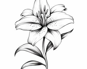 Paquete de imágenes prediseñadas de arte lineal de flores de lirio (en formato PNG), imágenes prediseñadas de lirios florales, imágenes prediseñadas de flores de boda, arte lineal de flores de lirio, arte mural de lirios en blanco y negro.