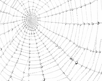 Spiderweb Pencil Sketch Clipart: Halloween Art, Stickers (PNG, JPG, PDF Download)