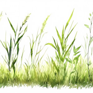 Wilde kruiden en gras grens clipart set PNG JPG aquarel botanische randen voor doe-het-zelfprojecten kunst aan de muur uitnodigingen, kaarten, sublimatie ontwerp
