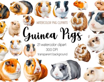 Watercolor Guinea pig Clipart Bundle, guinea pig clipart, guinea pig png, animal clipart, animal png, watercolor png, guinea pig, cute png