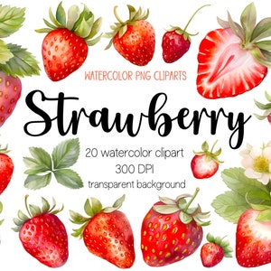 Clipart di fragole ad acquerello, clipart di fragole, png di fragole, clipart di frutta, png di frutta, clipart di acquerello, png di acquerello