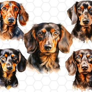 Watercolor Dachshund Clipart: PNG Bundle, Sublimation Designs