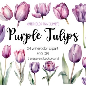 Paarse aquarel tulp cliparts, tulp clipart, tulp png, aquarel clipart, aquarel png, sublimatieontwerpen, clipartbundel