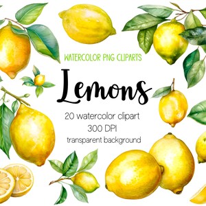 Watercolor lemon cliparts, lemon clipart, lemon png, fruit clipart, fruit png, watercolor clipart, watercolor png, sublimation designs