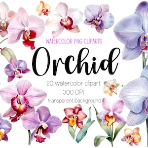 Watercolor Orchid flower cliparts, orchid clipart, orchid png, watercolor clipart, watercolor png, sublimation designs, clipart bundle