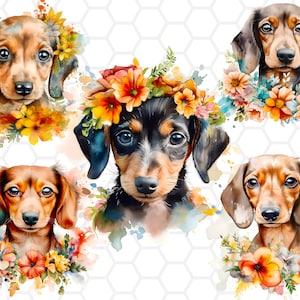 Watercolor Floral Dachshund Clipart Bundle: PNG Designs (Digital Download)