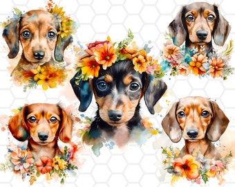 Watercolor Floral Dachshund Clipart Bundle: PNG Designs (Digital Download)