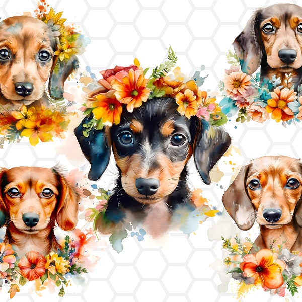 Watercolor Floral Dachshund Clipart Bundle, dachshund clipart, dachshund png, dachshund watercolor, dachshund art, sublimation designs