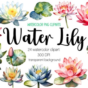 Clipart de nenúfar em aquarela, clipart de nenúfar, nenúfar png, clipart em aquarela, aquarela png, designs de sublimação, pacote de clipart