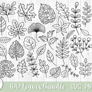 100 leaves svg bundle, leaf svg, monstera leaf svg, leaves svg, tropical leaf svg, palm leaf svg, jungle leaf svg, tropical leaves svg