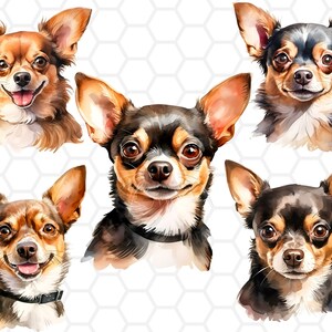Aquarell Chihuahua PNG Dateien für Sublimation, Chihuahua Clipart, Chihuahua Png, süßer Hund Clipart, Welpe Clipart, Welpe Png, Sublimation