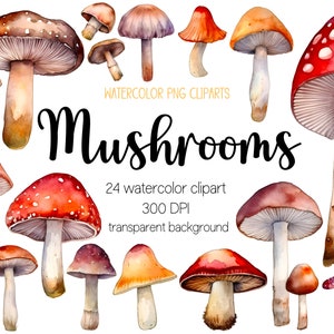 Watercolor mushroom cliparts, mushroom clipart, mushroom png, autumn clipart, fall clipart, autumn png, fall png, watercolor clipart