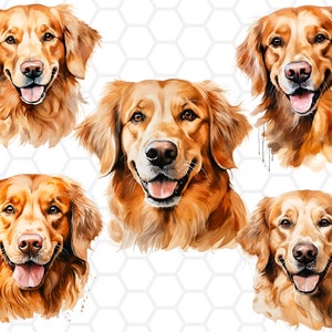 File PNG dell'acquerello Golden Retriever per sublimazione, Golden Retriever png, clipart cucciolo, cucciolo png, arte Golden Retriever, sublimazione