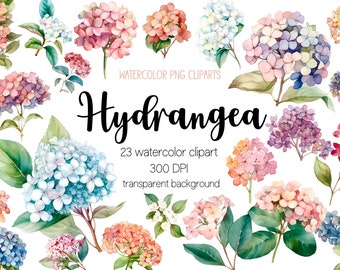 Aquarelle hortensia fleur cliparts, hortensia clipart, hortensia png, clipart floral, hortensia, aquarelle clipart, png aquarelle