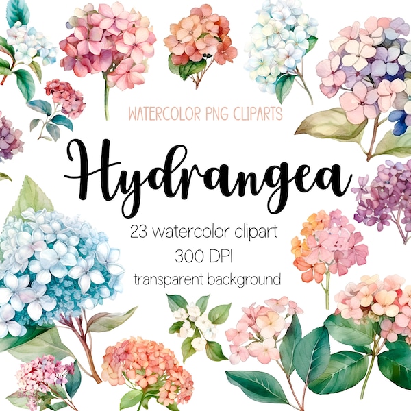 Watercolor hydrangea flower cliparts, hydrangea clipart, hydrangea png, floral clipart, hydrangea, watercolor clipart, watercolor png