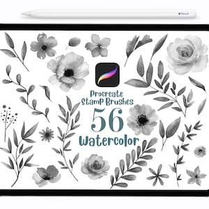 Procreate pennelli timbro acquerello, pennelli Procreate, francobolli Procreate, pennelli Procreate fiore, pennello petalo Procreate