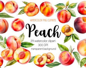 Watercolor Peach Clipart Set: 29 PNG Fruit Designs (Digital Download)