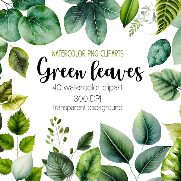 Watercolor green leaves clipart bundle, green leaves clipart, watercolor clipart, leaf clipart, leaves png, leaf png, green leaves png