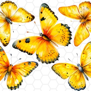 Motifs de sublimation de papillon jaune, clipart papillon, png papillon, motifs de sublimation, clipart aquarelle, png aquarelle, papillons