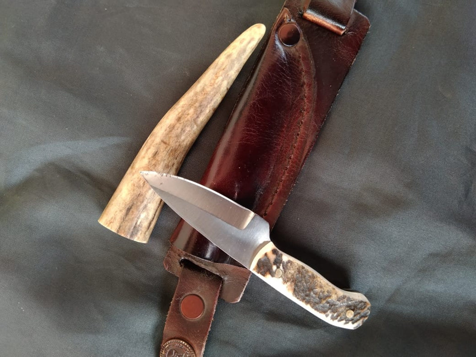 Handmade 4'' Wrist knife Stag horn handled High Etsy
