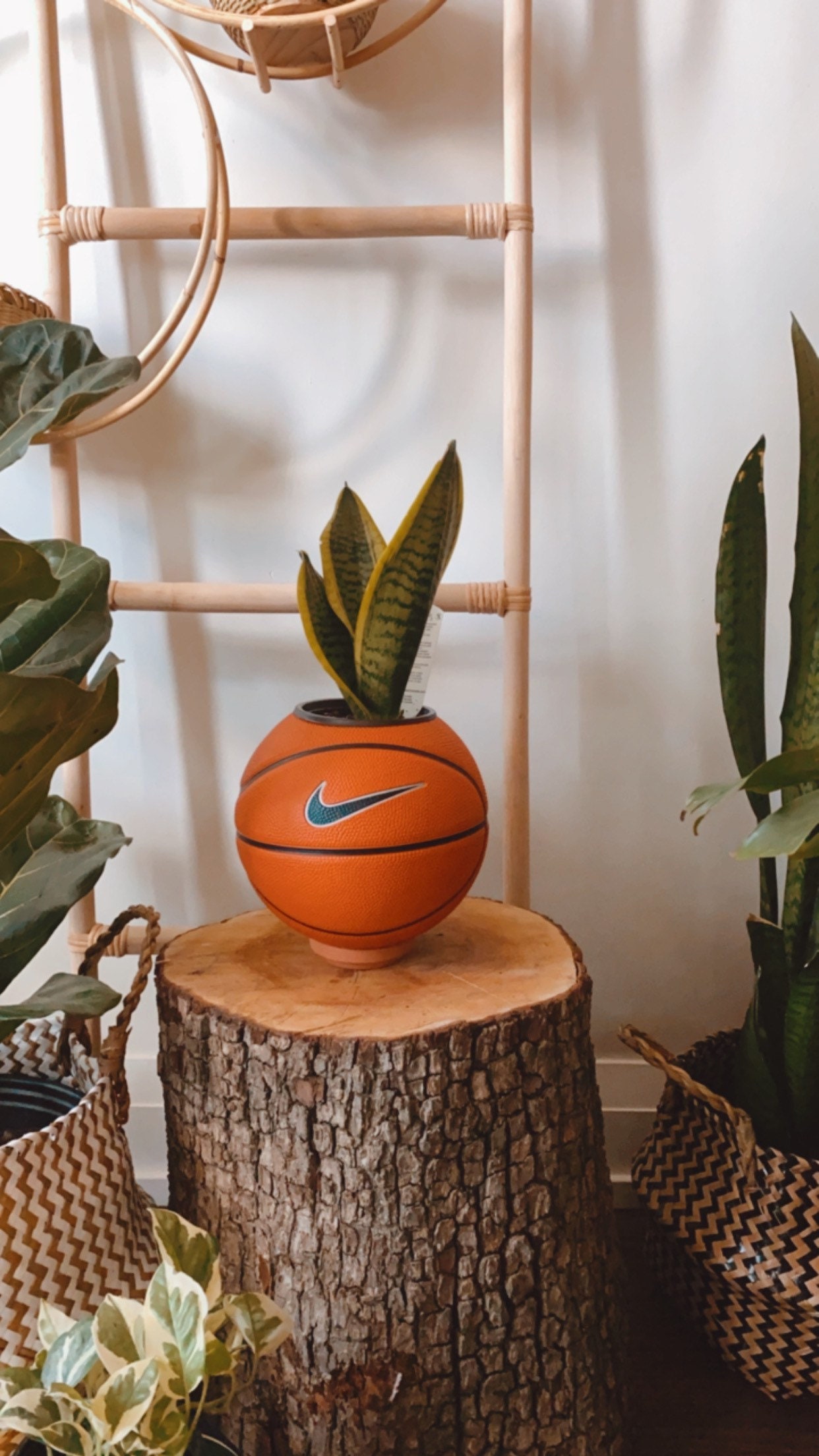 Mini Basketball Planter Original Etsy