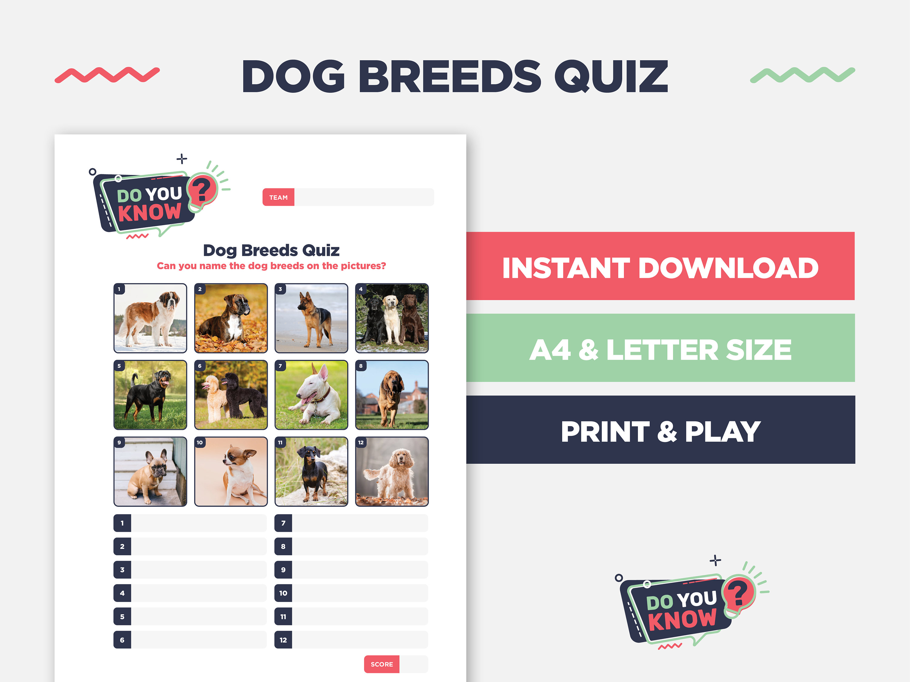Dog Breeds Quiz Pub Quiz Picture Round Guess the Dog Breed Etsy