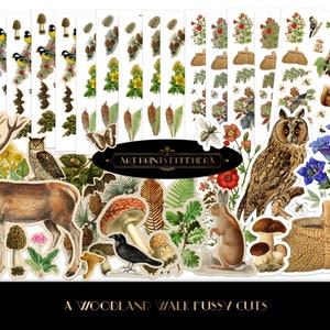 Fussy Cut Woodland Walk Woodland Creatures & Wildflower Foraging • Antyczne efemerydy • Użytek komercyjny • Dekupaż • Dziennik śmieci • PREZENT BONUSOWY