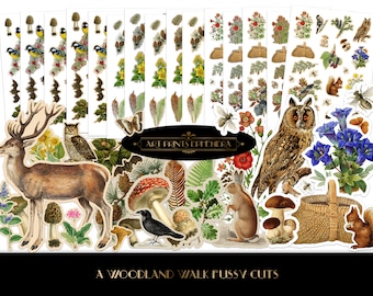 Fussy Cut Woodland Walk Woodland Creatures & Wildflower Foraging • Antique Ephemera • Commercial Use • Decoupage • Junk Journal • BONUS GIFT