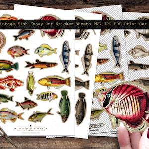 Op de afbeelding: Vintage digitale papieren vellen met kleurrijke illustraties van verschillende vissen. De vellen zijn ontworpen om nauwkeurig uit te knippen en kunnen worden gebruikt voor knutselen, scrapbooking en andere creatieve projecten. De tekst op het vel luidt "Vintage Fish Fussy Cut Sticker Sheets PNG JPG PDF Print Cut & Sell".