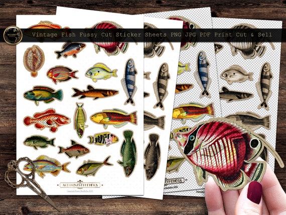 Vintage Fish Fussy Cut Stickers No.1 Printable Ephemera Print Cut Sell JPG  PNG A4 Sheet Bonus Gift Junk Journal Decoupage POD 