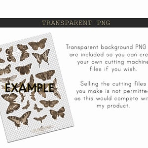 May include: A digital download of 20 vintage butterfly illustrations in sepia tones. The butterflies are arranged in a grid on a transparent background. The text "EXAMPLE" is superimposed on the image.