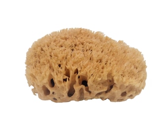 Eponge de bain naturelle 120 mm