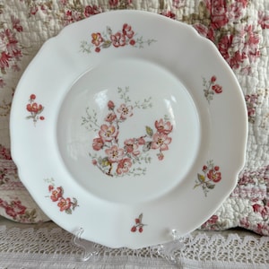 Vintage French Arcopal 10” Dinner Plate
