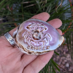 May include: A seashell with a carved crab and the word "Cancer" on it.