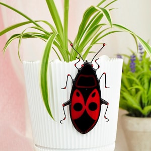 May include: A set of three ceramic canisters with lids. The canisters are white with a blue floral pattern. The largest canister is 20 cm tall, the medium is 15 cm, and the smallest is 10 cm.
